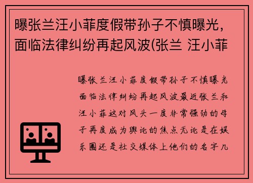 曝张兰汪小菲度假带孙子不慎曝光，面临法律纠纷再起风波(张兰 汪小菲)