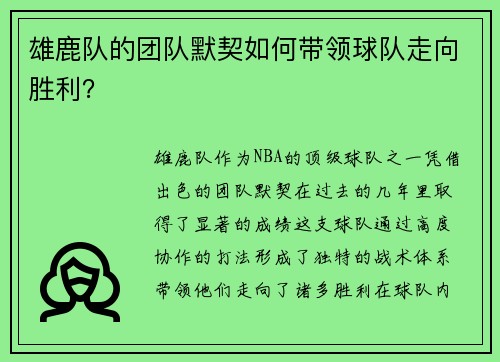 雄鹿队的团队默契如何带领球队走向胜利？